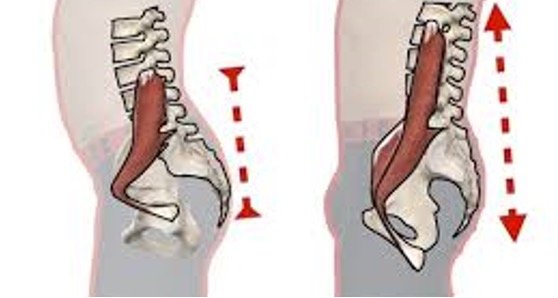 Beinschmerzen Ursachen